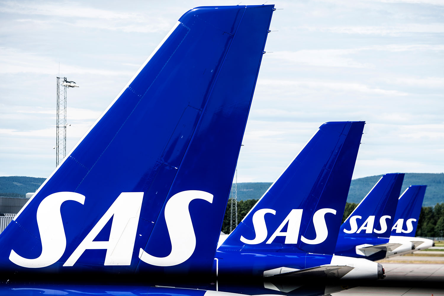 sas