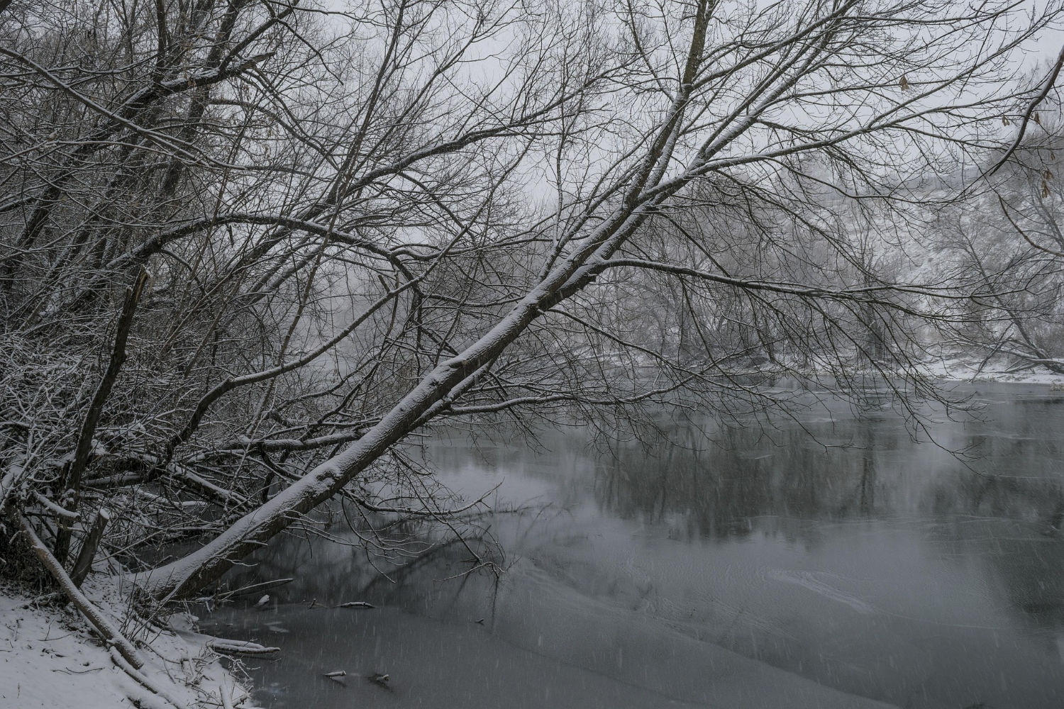 Annonserte dødsfall i januar 2026