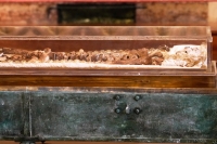 Levningen av mannen som skulle bli en av den katolske kirkens mest kjente helgener, er beskyttet av skuddsikkert glass når de vises fram for offentligheten for første gang, 800 år etter tiggermunkens død.