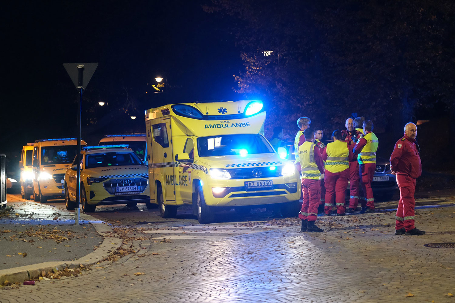 Flere ambulanser rykket ut til Kongsberg onsdag kveld. 