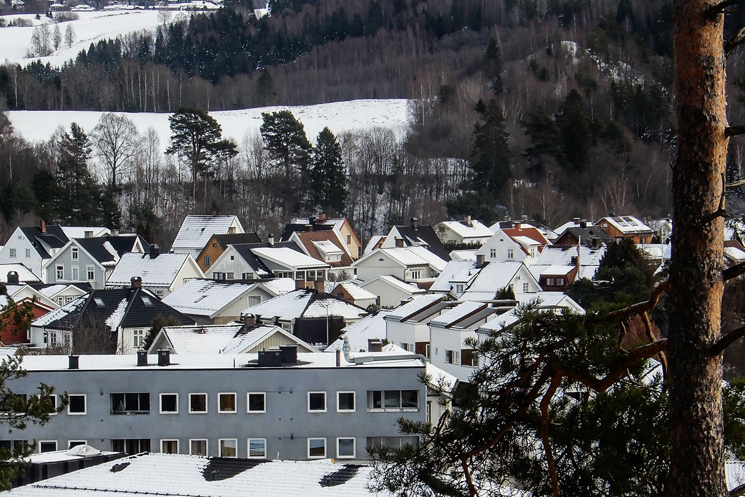 Omsetning av eiendommer i Ringerike kommune i uke 7