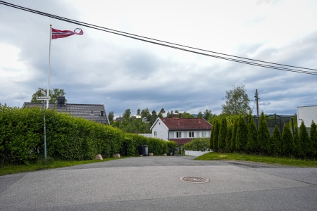 Har du en av disse 7 plantene? Da kan hagen din bli en brannfelle