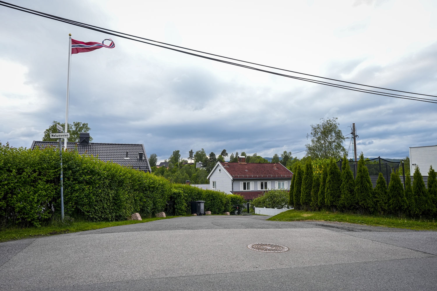 Har du en av disse 7 plantene? Da kan hagen din bli en brannfelle