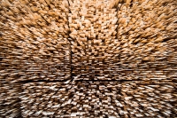 Moelven Soknabruket AS sager 160.000 kubikk gran og furu i året.