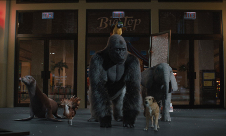 «Den fantastiske Ivan» forteller en historie fra dyrenes perspektiv. Menneskene i filmen har bare biroller.