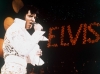 Ukelang Elvis-feiring i USA