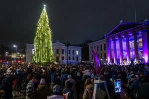 Julegrana tent på Universitetsplassen