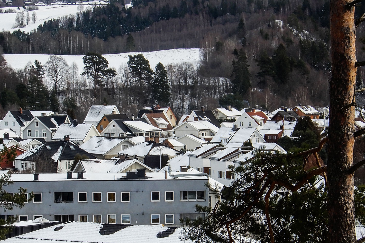 Omsetning av eiendommer i Ringerike kommune i uke 6